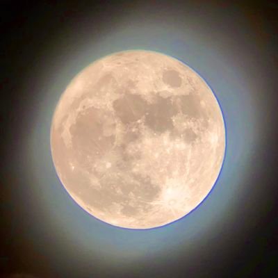 Sa_alsud's profile picture. 