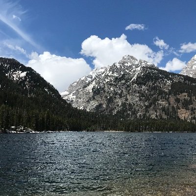 LasgoBrandon's profile picture. RT≠Endorsement