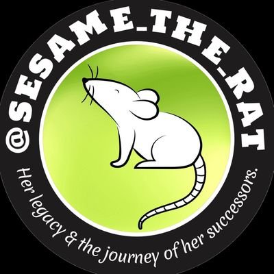 Sesame captivated the hearts of hundreds of thousands of people worldwide. This is to honor her life and legacy, and the journey of her successors.