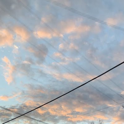 LindsayProtops1's profile picture. 