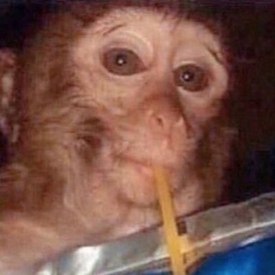 metaencore's profile picture. life is short, go long to hedge 🫡