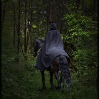 SamCarter42 (@samcarter42) 's Twitter Profile