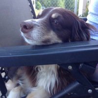 RRR (@redroadrunner21) 's Twitter Profile