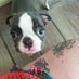 Tuppence, Hapenny? considerably more! (@bkimberb123) Twitter profile photo Tuppence, Hapenny? considerably more! (@bkimberb123) Twitter profile photo