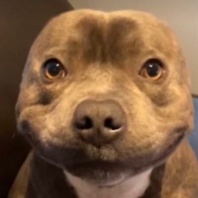 Relaayy's profile picture. 