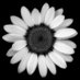 ❀ (@ahhpapatya) Twitter profile photo ❀ (@ahhpapatya) Twitter profile photo