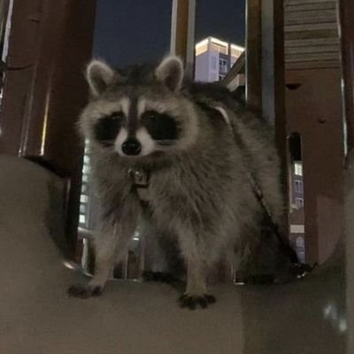 .さんのプロフィール画像