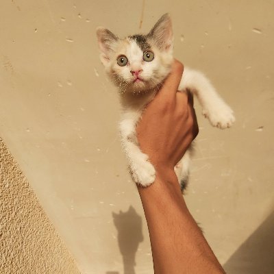 bookwork86's profile picture. ً