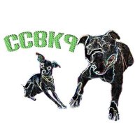Corcha Balanced K9 (@corchabalanced) 's Twitter Profile