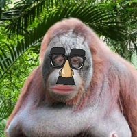 Crypto Detective (@cryptodetecti11) 's Twitter Profile
