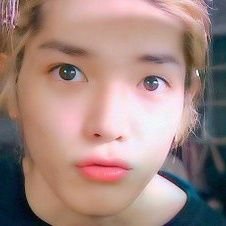 24/7 lee taeyong ♡ | 태용프 | UNDeRSTAND • @nctsmtown @nctsmtown_127 @nctsmtown_dream @wayv_official • Homophobic, hybe stan, tyongphobic DNI