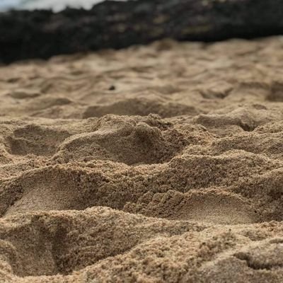 seilee7's profile picture. 