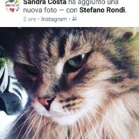 Andrea la box🌱 (@andrea66264377) 's Twitter Profile Photo Andrea la box🌱 (@andrea66264377) 's Twitter Profile Photo