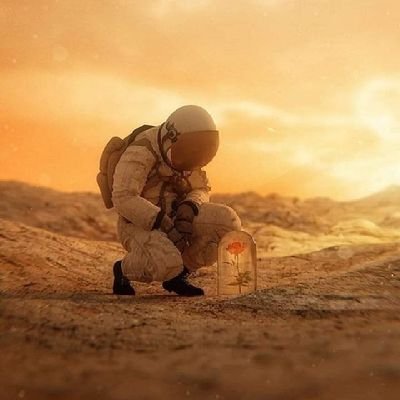 MarioEAlvarenga's profile picture. 