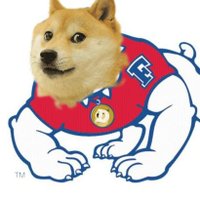 SchminDoge(@Schmindoge) 's Twitter Profile Photo