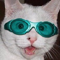 Benjamin Samuels (@thebensams) 's Twitter Profile Photo Benjamin Samuels (@thebensams) 's Twitter Profile Photo