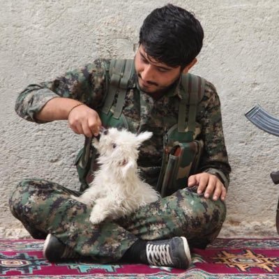 YPG_ext_srvc's profile picture.