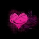 haley shafer - @haleyshafer - Twitter