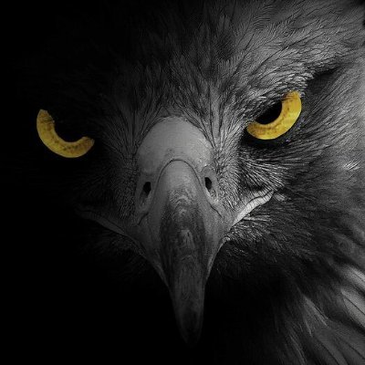 AhmedHa01980608's profile picture. Free download 3ds max models