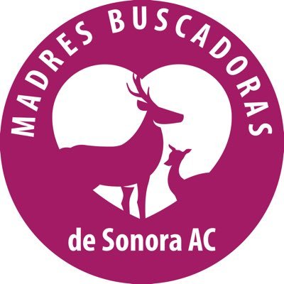 Madres Buscadoras de Sonora Profile