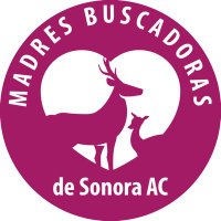 Madres Buscadoras de Sonora (@madresbuscan) 's Twitter Profile