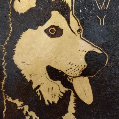 Luisreyesx00's profile picture. 