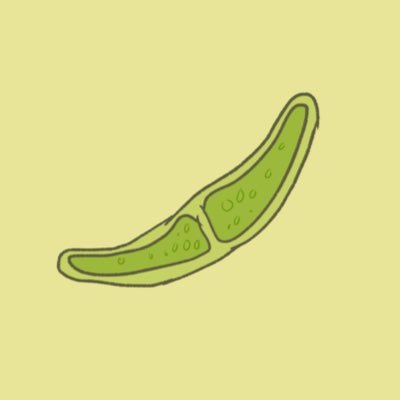 うも🦥さんのプロフィール画像