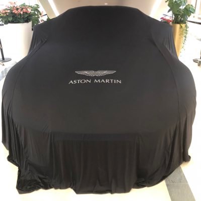 LC4095's profile picture. 👀 lcy4095@gmail.com 🇨🇳#Bitcoin#metaverse