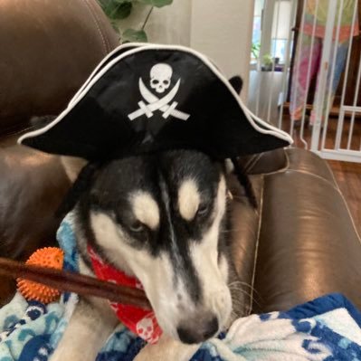 HuskerDoge's profile picture. 