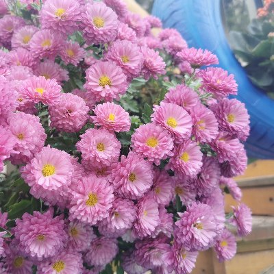 aguo8886's profile picture. https://t.co/kYxu56ZBhO…