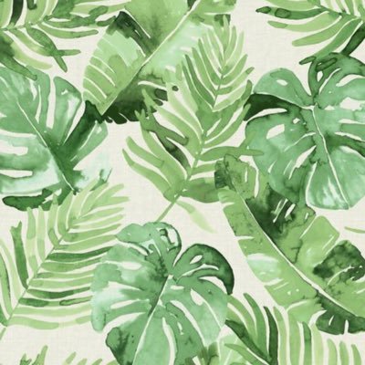 NicoleDritz's profile picture. 