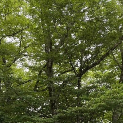 02 社会人MINI 🏢垢 りひたじ牧寄りだけどもう全員好きすぎて結果箱推し 無言フォロー失礼します🙇♀️無言フォロー大歓迎!! 本垢(ほぼZB1)▹ @sho5ha0_1738
