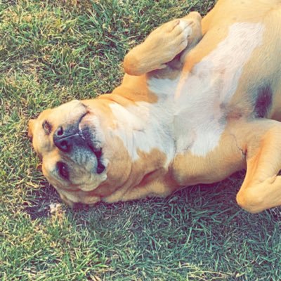 high_ivan's profile picture. https://t.co/YzErG4kwWq