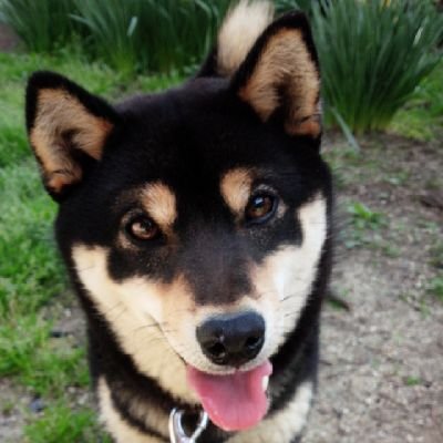 tutty_FANKS's profile picture. ウツ❤️です。
Fanksの皆さま、よろしくお願いしま～す‼️