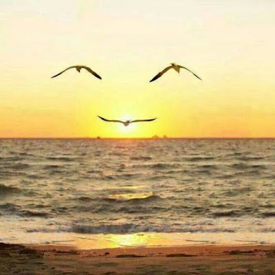 SkycladPaul's profile picture. artist, naturist/nudist