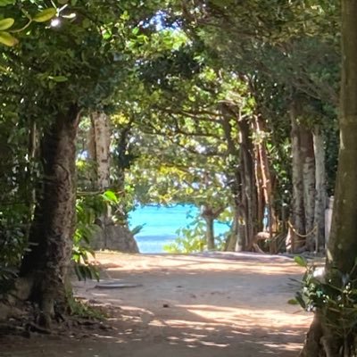 _shima0517_'s profile picture. シマいち本垢です✨ 沖縄旅行大好きの54歳♂です😎年2～3回沖縄🌺🏝を旅してます✈️広島在住⛩2024/11から走り始めた初心者🔰ランナーです。2025/12/7那覇マラソンエントリーしてランニング楽しんでます😆