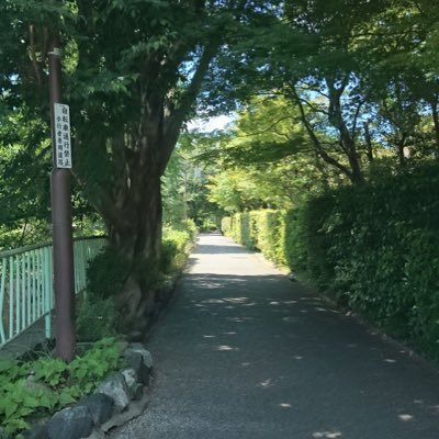 #さんのプロフィール画像