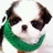 Rokc11's profile image