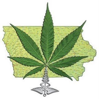 LegalizeIA Profile Picture