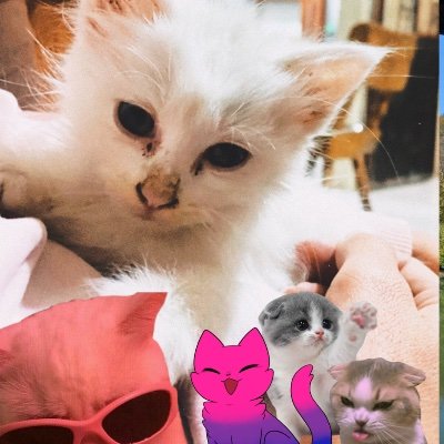 SpacialCats69's profile picture. https://t.co/SrTx1VfFgK
ㅇㅅㅇ https://t.co/fwXsinDrwS ㅇㅅㅇ
ὃ⍜ὅ https://t.co/INT61B1CBp ὃ⍜ὅ