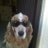 mesteves12's profile image