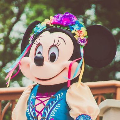 Adventurous Annaさんのプロフィール画像