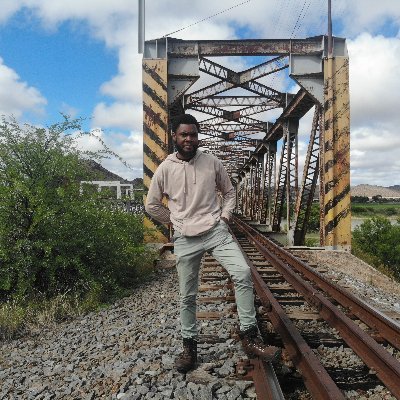 Civil and Transport Planner/Engineer specialising in PuT. “We don’t know how to interpret simple random events because we want to give meaning to them.”NDT