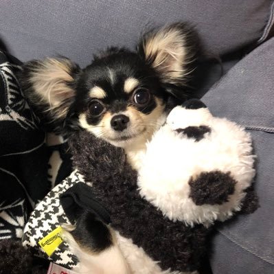 igaL24SedlR1tgu's profile picture. 