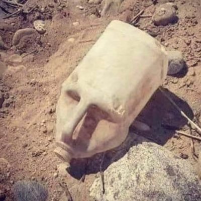 wlk92's profile picture. Follow me #weather #Canucks #Sales #Business #AntiTheft #Fasteners #postcards #photograph  #infrared #stoppingthefteveryday