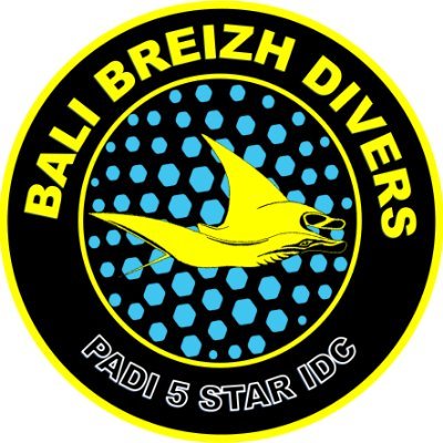 PADI 5 star IDC dive resort welcome for day dive, diving safari and PADI course DSD to Divemaster and Instructor in internship,
English, French, Indonesian