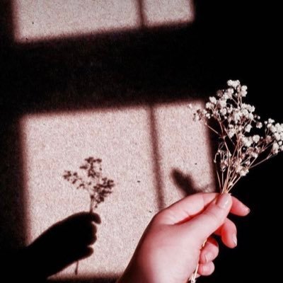 halloiren's profile picture. 🦥