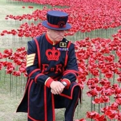 CarlyCoops73's profile picture. Desperately seeking inspiration