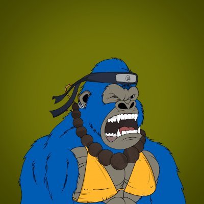 COLLINFLORIAN6's profile picture. Doing Dropshipping the right way! High ticket Ecom. Authorized dealer business model