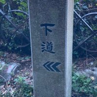 したみち (@shitamichi_4444) 's Twitter Profile Photo